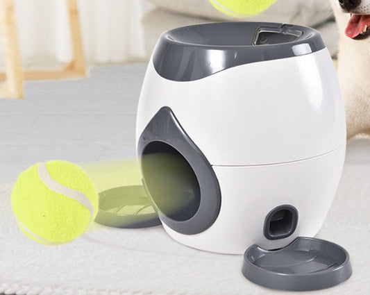 How Often Should I Clean My Dogs Toys?