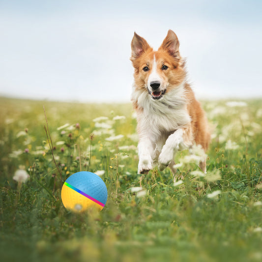 Remote Control Interactive Intelligent Toy Ball