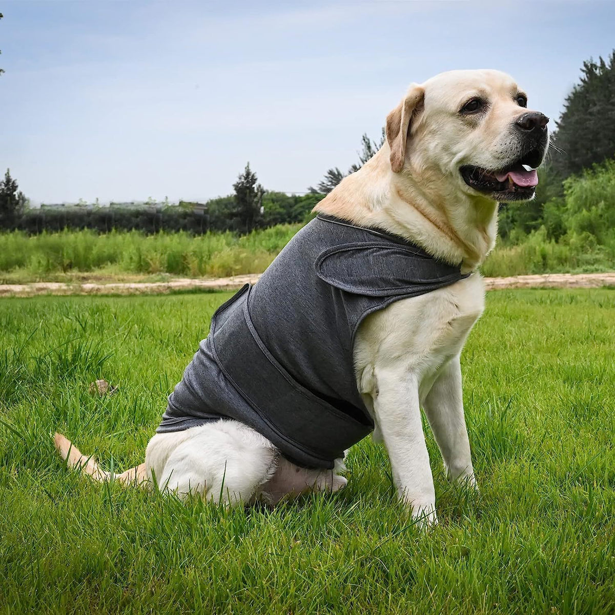 Thunder Vest For Dogs - Classic Adjustable Cloth Vest For Anxiety Stress