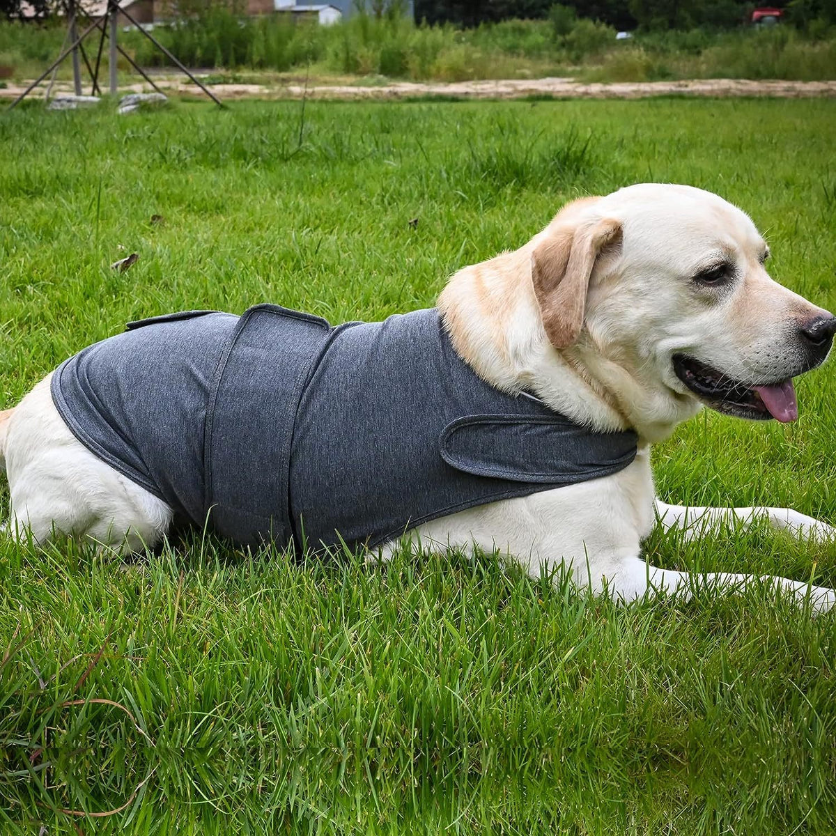Thunder Vest For Dogs - Classic Adjustable Cloth Vest For Anxiety Stress